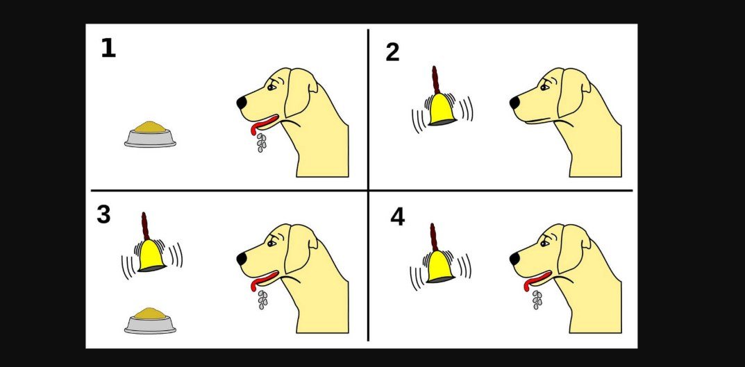 Pavlovun köpeği ve klasik koşullanma deneyi neden önemlidir? Bilim