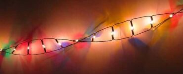 Evde DNA izole etmek mümkün mü?