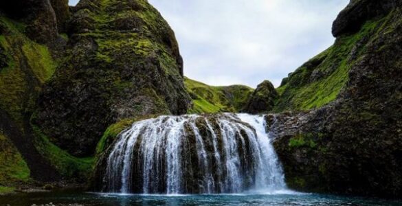 İzlanda'da yosunlarla kaplanmaya başlanmış bir alan.