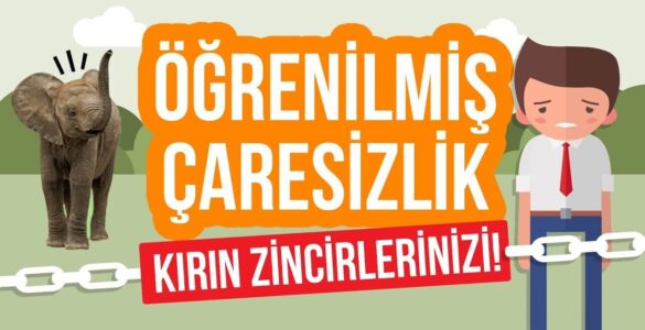 Öğrenilmiş çaresizlik nedir?