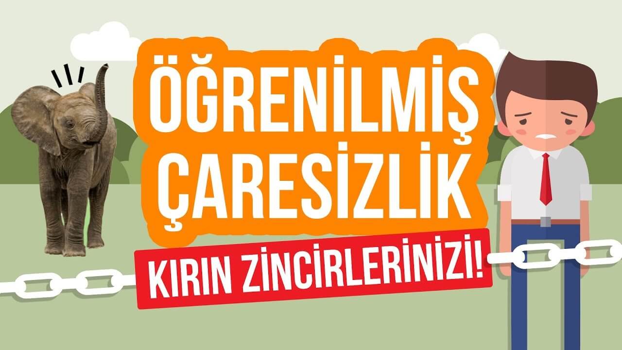 Öğrenilmiş çaresizlik nedir?