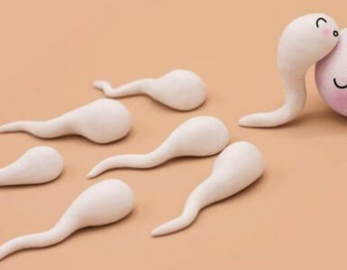 Sperm yapısının içerisinde neler var?