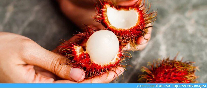 Bir rambutan meyvesi. (Karl Tapales/Getty Images)