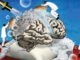Uyku ile Alzheimer Plaklarının Temizlenmesi Mümkün mü?
